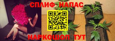 крисы Керчь