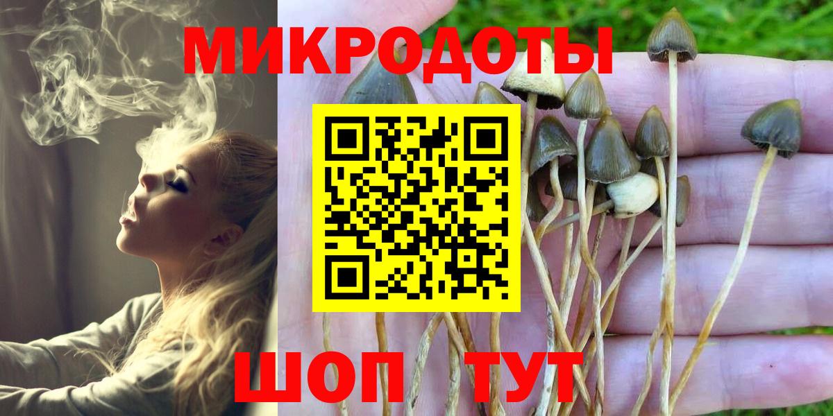 Еманжелинск  Псилоцибиновые грибы Cubensis  Вход с VPN  Псилоцибиновые грибы Cubensis 