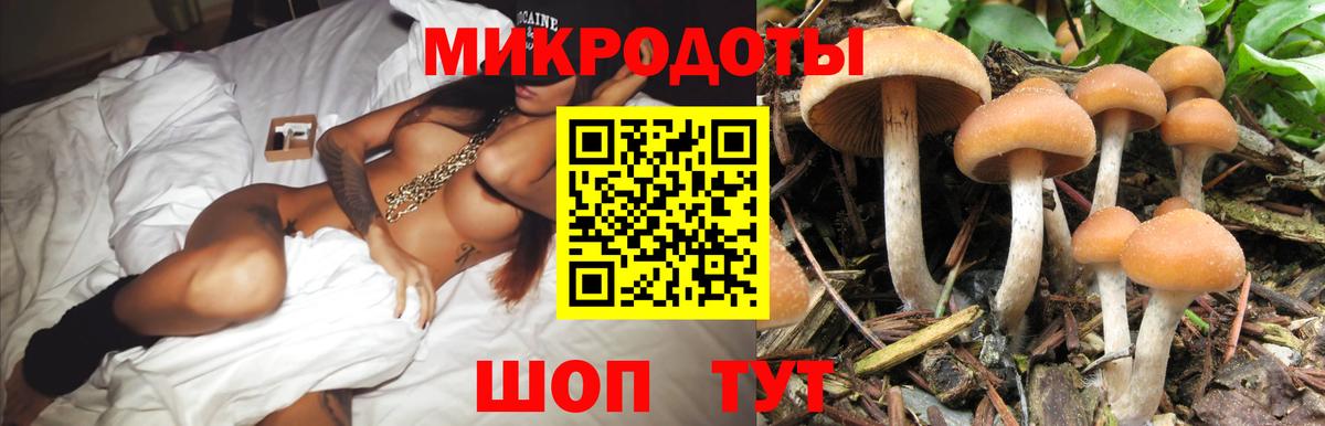Псилоцибиновые грибы GOLDEN TEACHER Еманжелинск